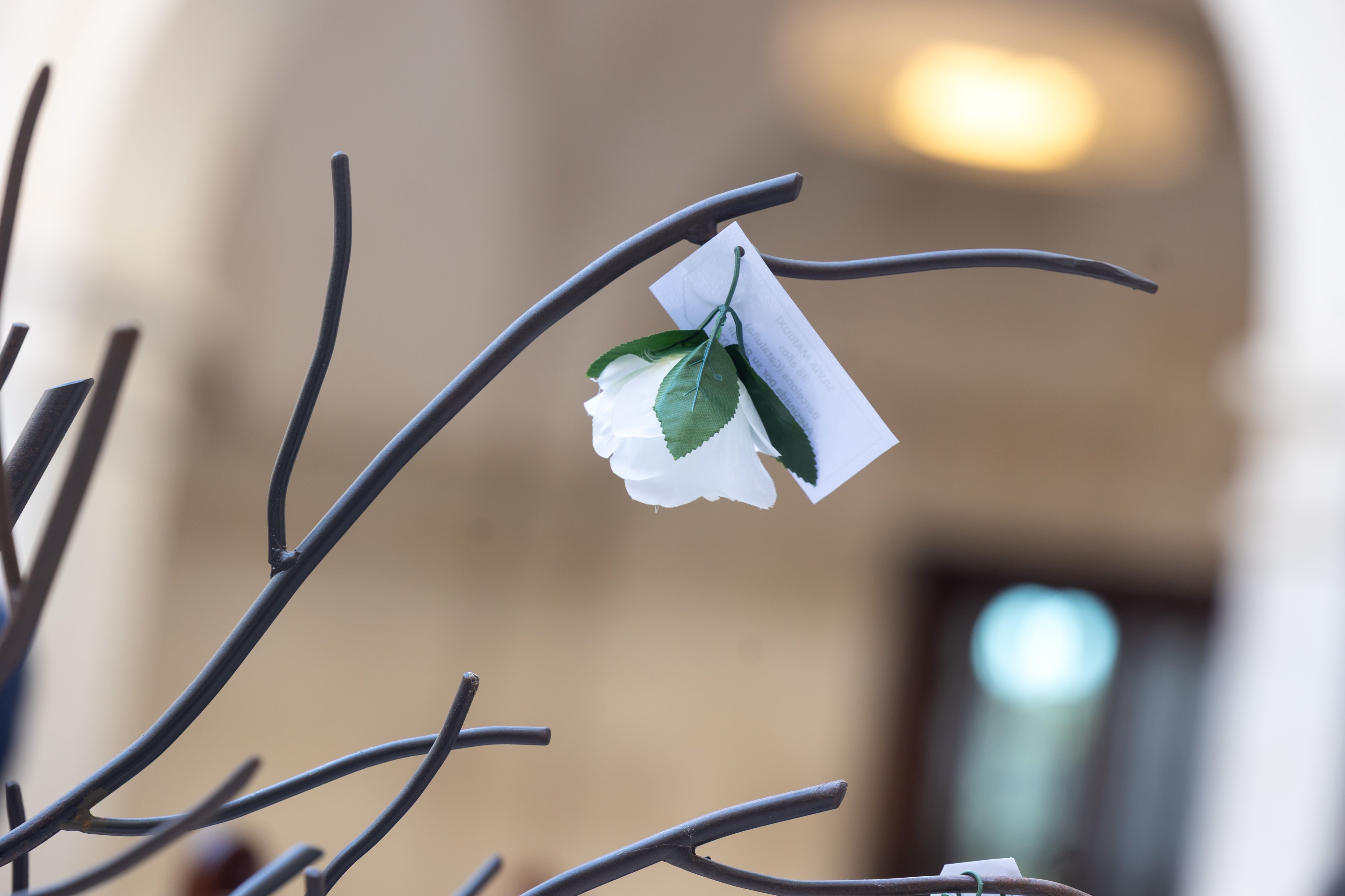 25N 2025 Museo Málaga acto flores