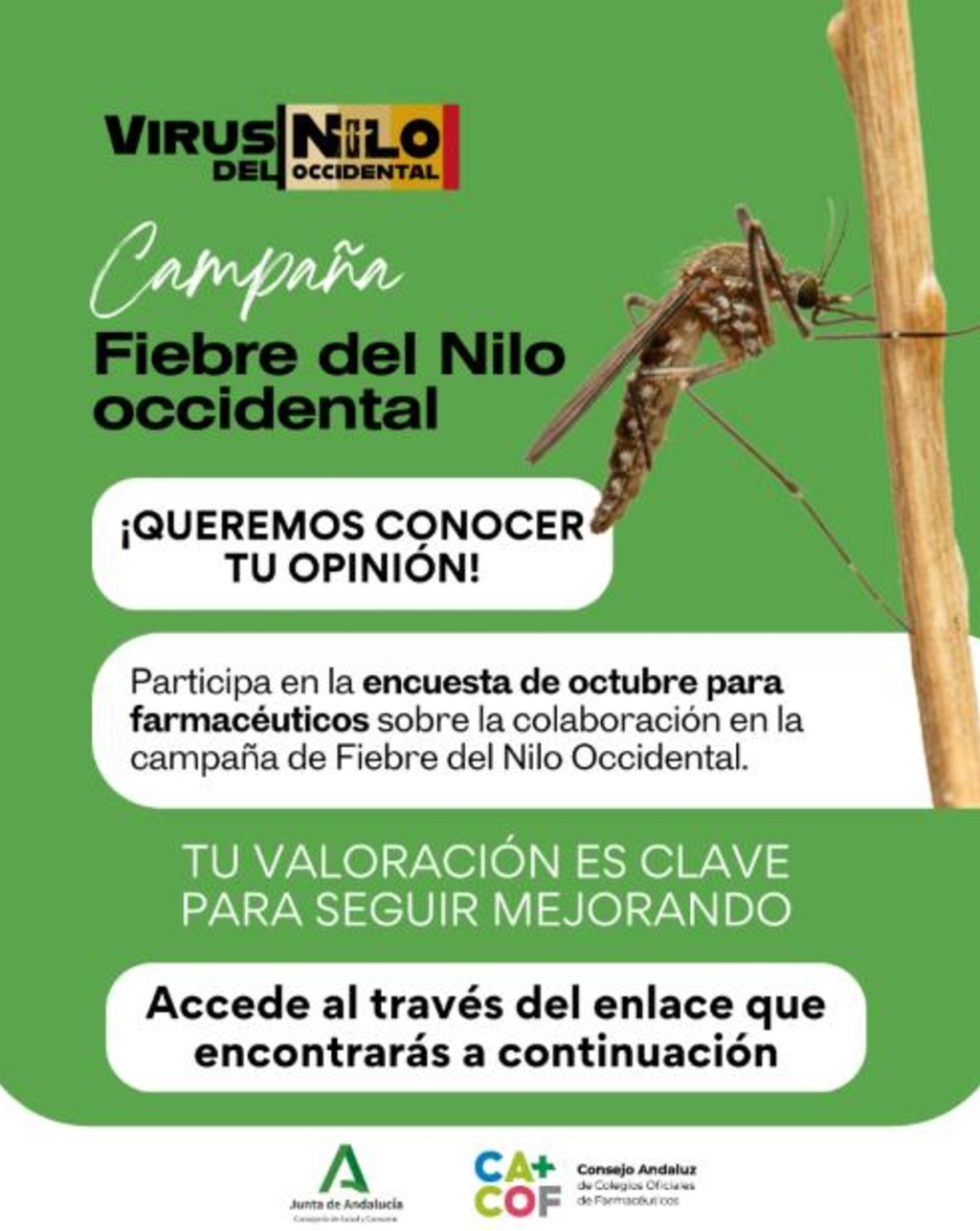 FIEBRE-NILO-COTUBRE.jpg