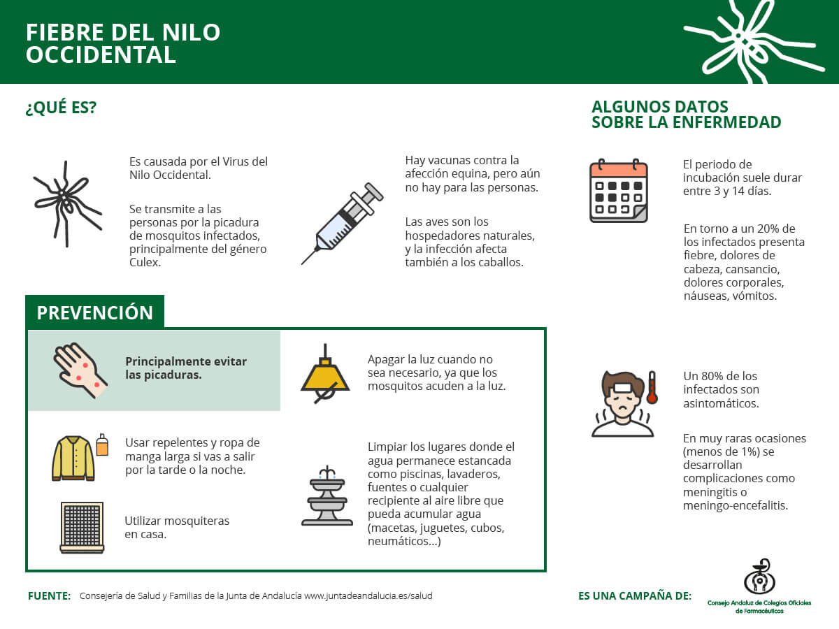 Infografía sobre qué es la Fiebre del Nilo Occidental